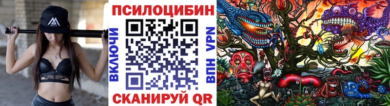 Псилоцибиновые грибы Psilocybine cubensis  Осинники 