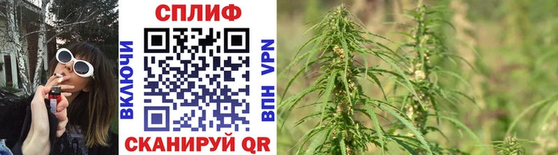 Бошки марихуана гибрид  купить   Осинники 